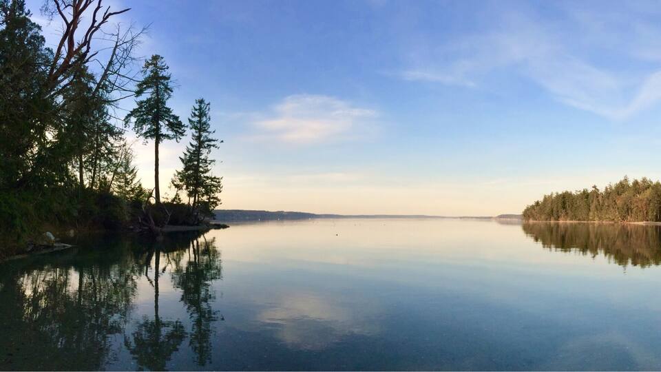 A calm lake surrounded by dense forests and a clear sky.