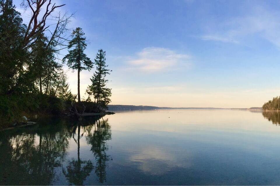 A calm lake surrounded by dense forests and a clear sky.