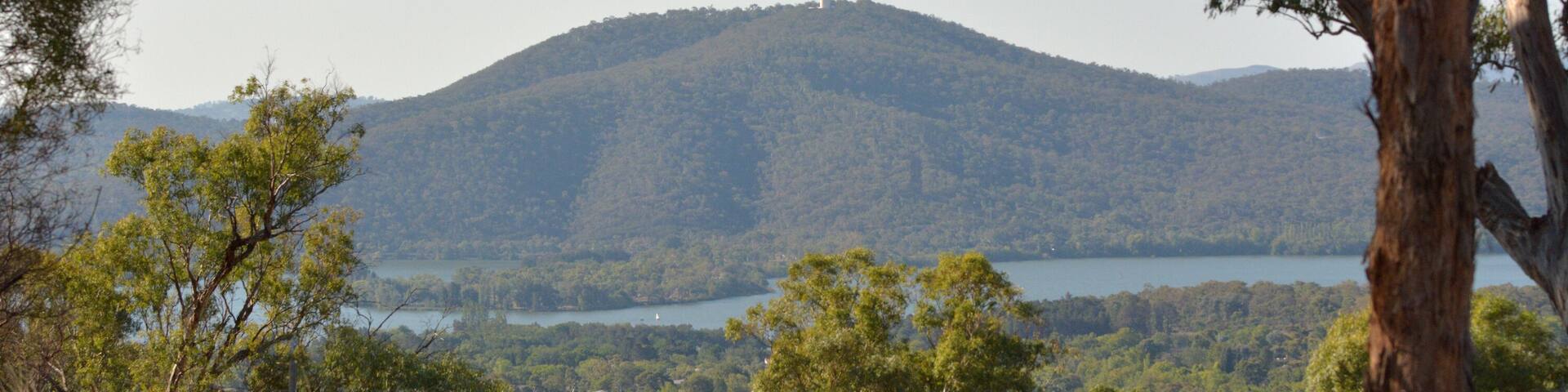 A hill with a tower on top, surrounded by trees and a body of water.