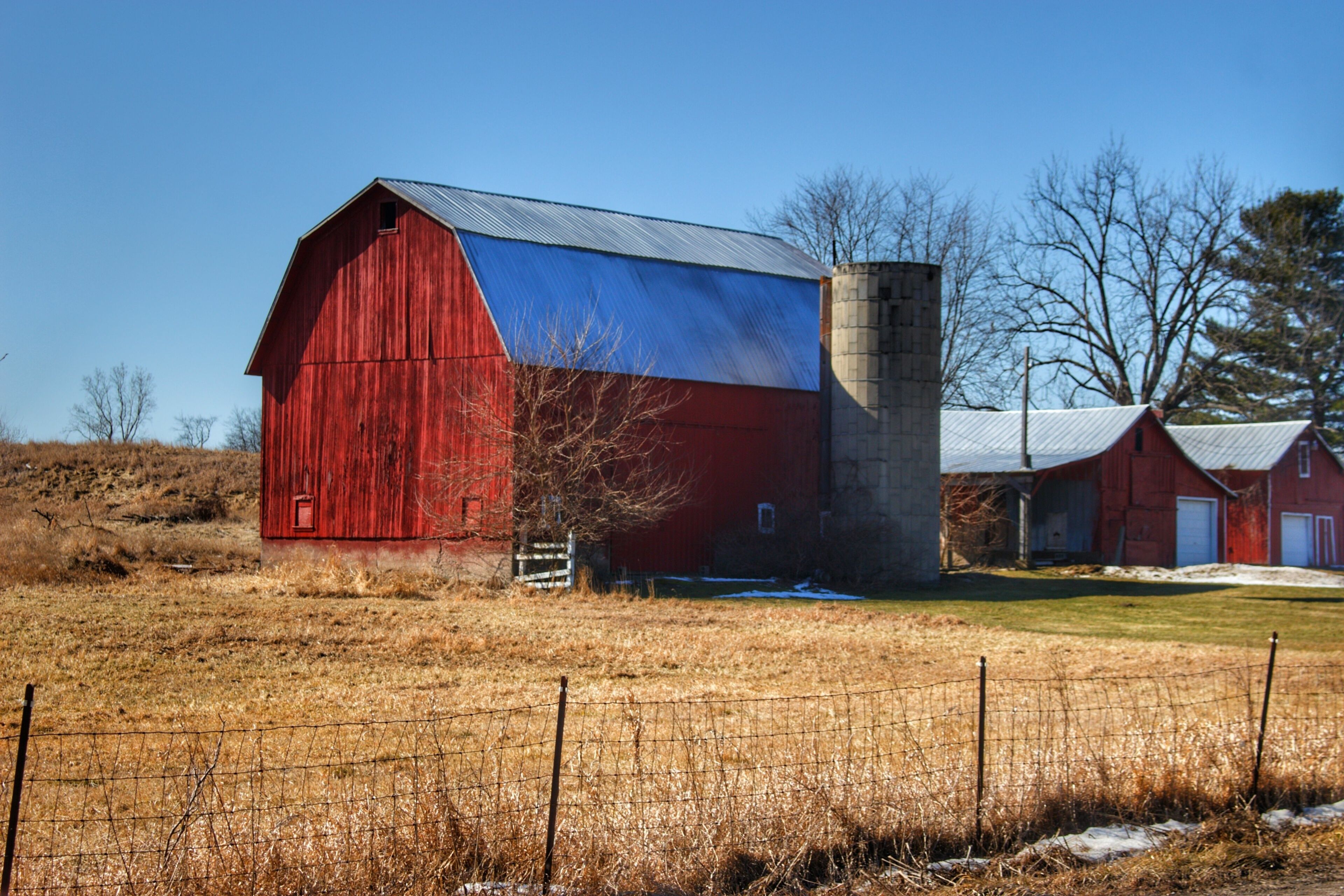 Dansville's Mason Street Red (and beyond series)