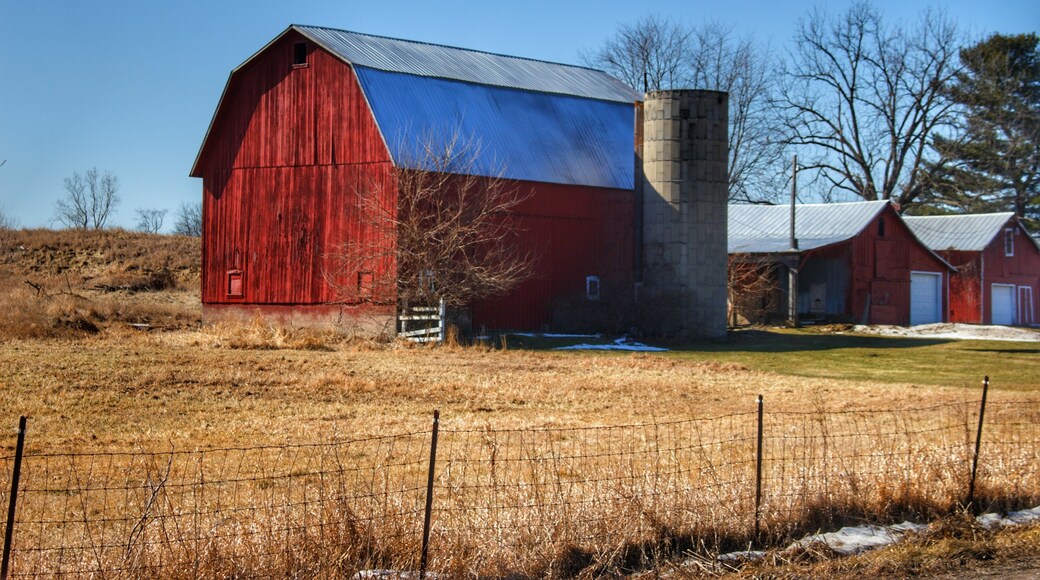 Dansville's Mason Street Red (and beyond series)