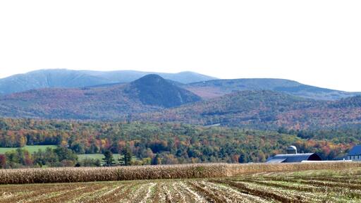 Looking off towards Mt. Cube. Harvest time for many dairy farms. These fields of corn are ground up into silage for cow feed. The color of the foliage may be at peak right now.