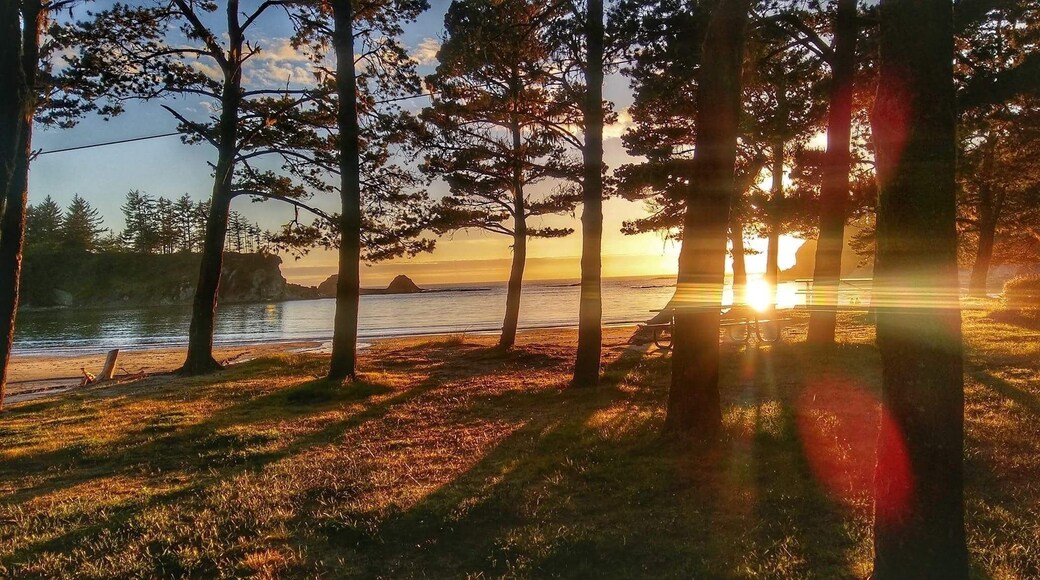 Beautiful park, couple fire pits, love to hang my hammocks here right next to the sand. Tide pools to explore, lots of people paddle board, surf, kayak. Bathrooms, volleyball sand pit etc.