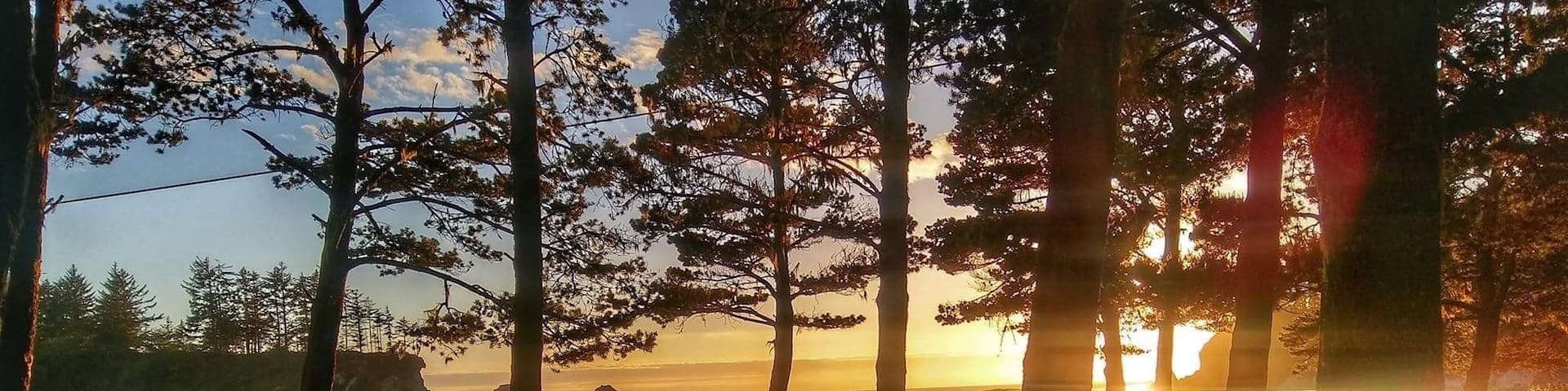 A sunset over a beach with trees and a bench.