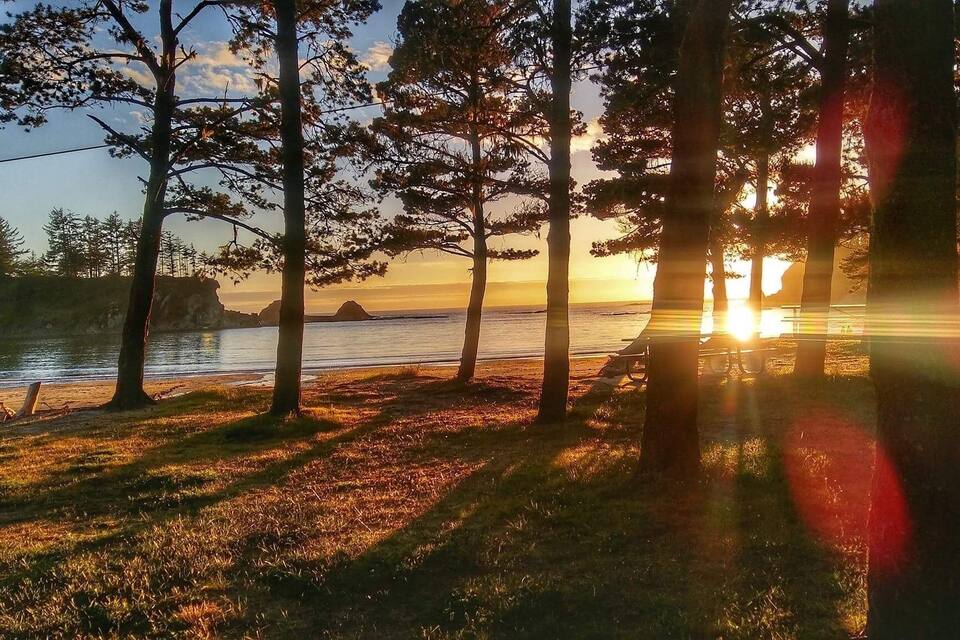 Un capvespre sobre una platja amb arbres i una banca.