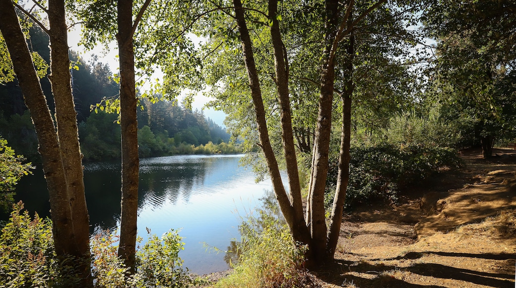 Illinois River Forks State Park
