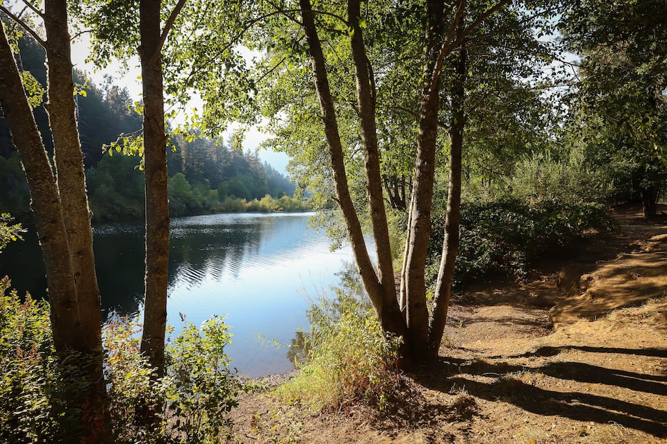 A serene lake surrounded by trees and a dirt path.