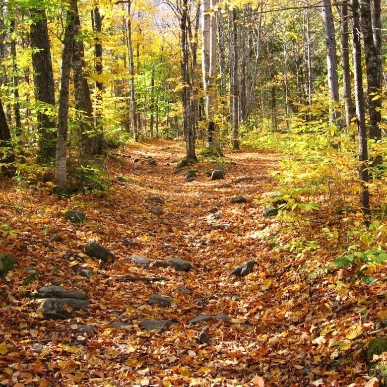 Hiking up to Angel Falls through the Maine woods on a beautiful autumn day.  
