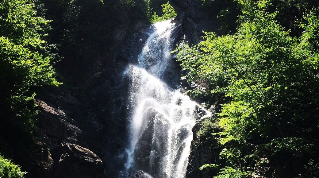 A quick and easy hike in Western Maine--perfectly enjoyable for any skill range!