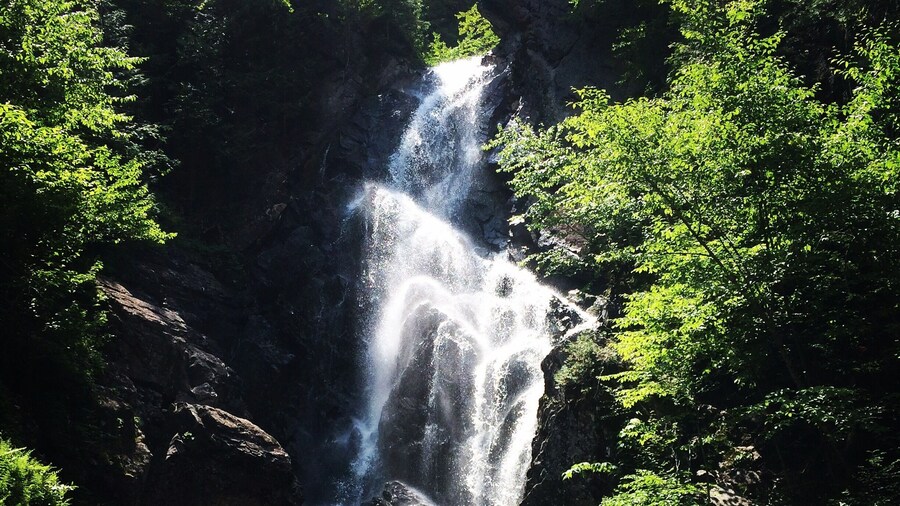 A quick and easy hike in Western Maine--perfectly enjoyable for any skill range!