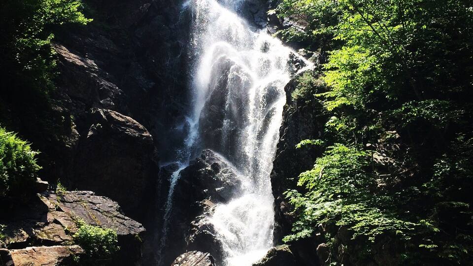 A waterfall cascading down a rocky cliff surrounded by lush greenery.