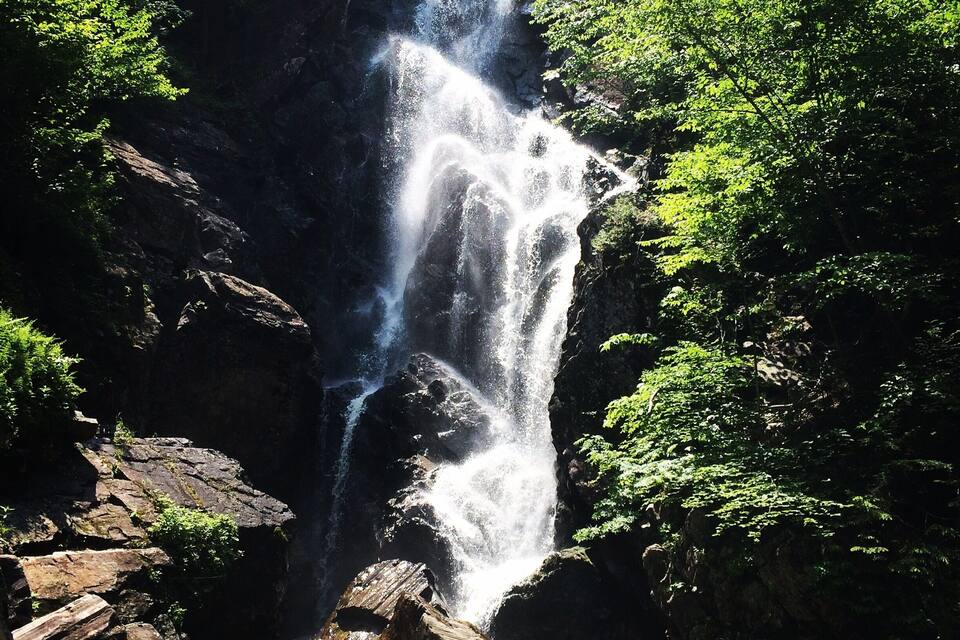 Una cascata si getta da una parete rocciosa, circondata da vegetazione lussureggiante.