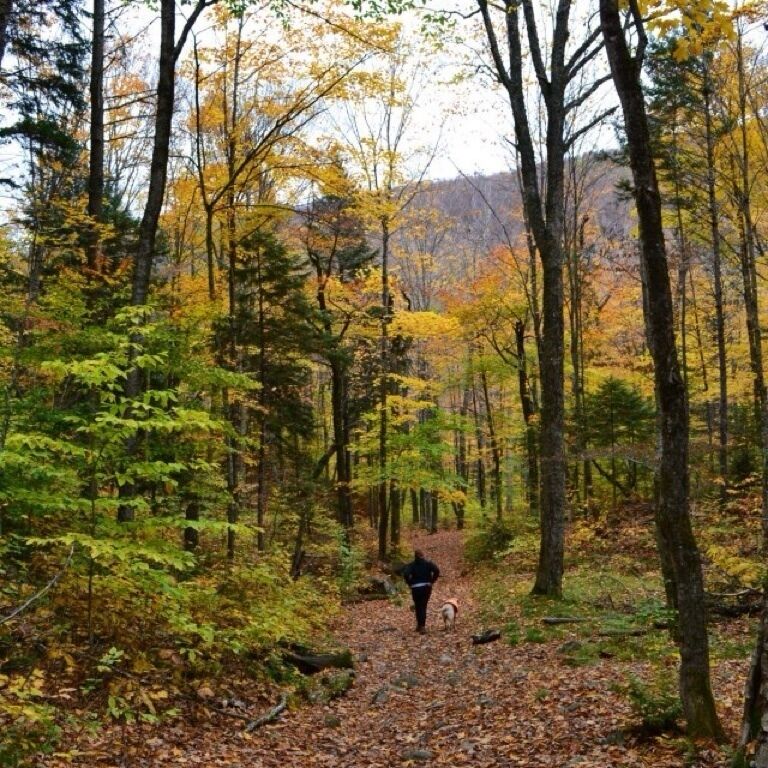 Hiking into Angel Falls Maine