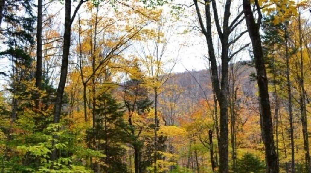 Hiking into Angel Falls Maine