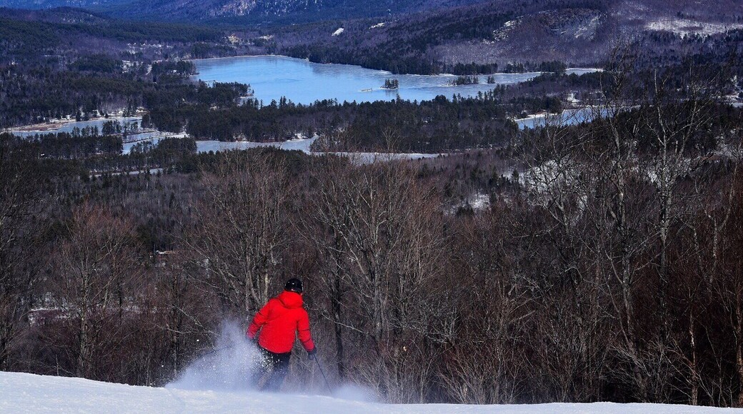 Great family skiing at Mt Abram