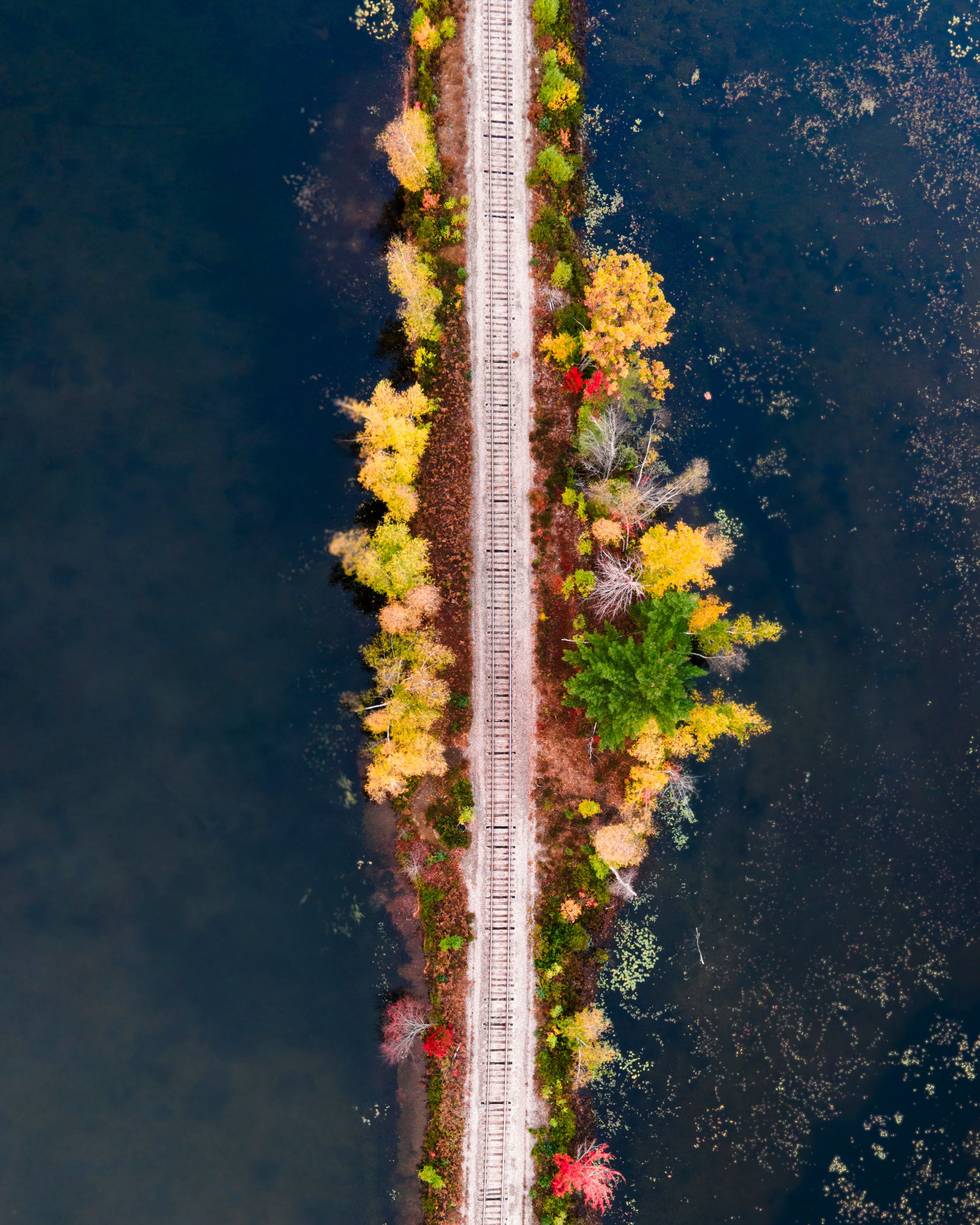 An aerial view of a railway track with colorful autumn foliage on either side.