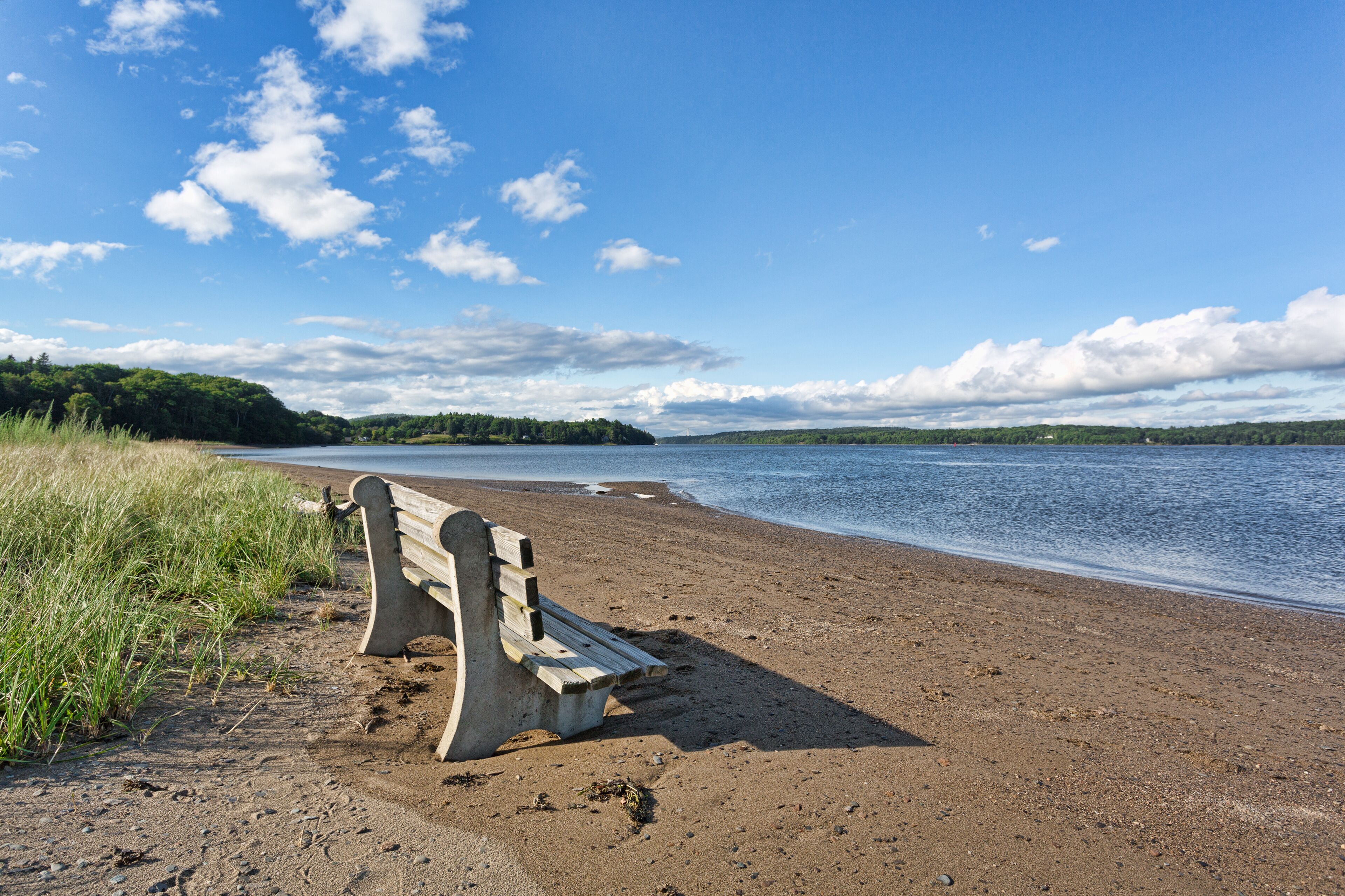 Old bench on beach with river in background