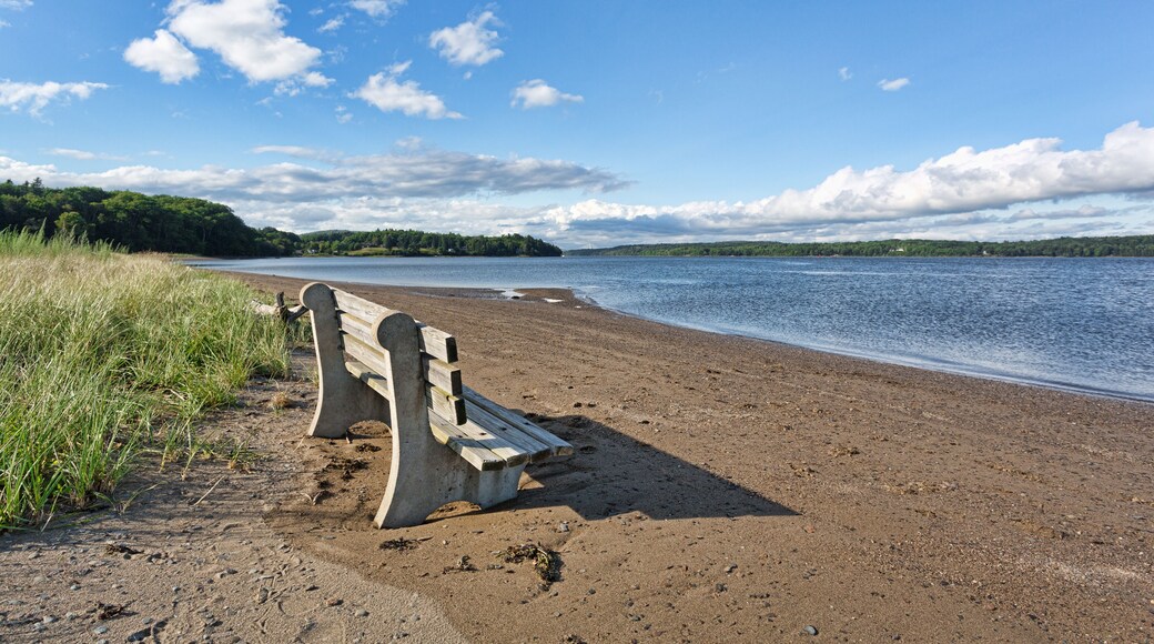 Old bench on beach with river in background