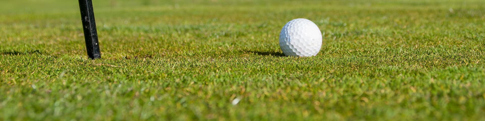Closeup of Golf Ball beside flagstick.