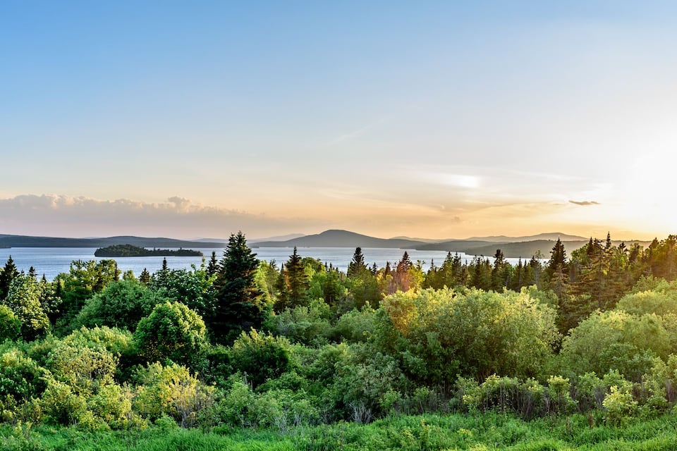 A forested landscape with a lake and distant mountains.