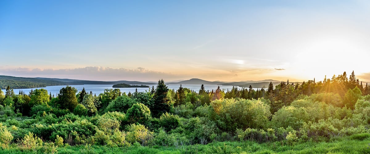 A forested landscape with a lake and distant mountains.