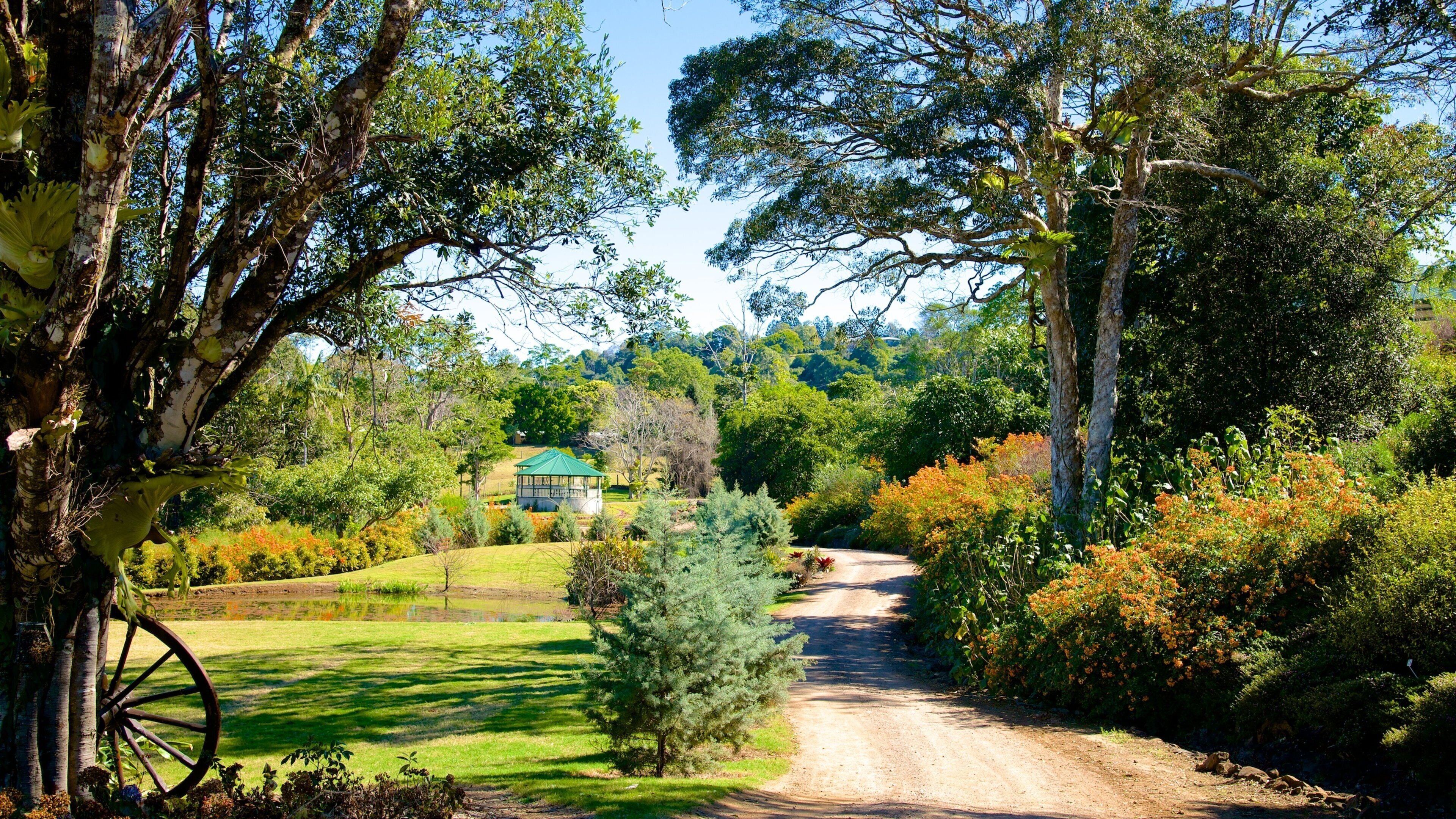 Maleny Botanic Gardens showing a park