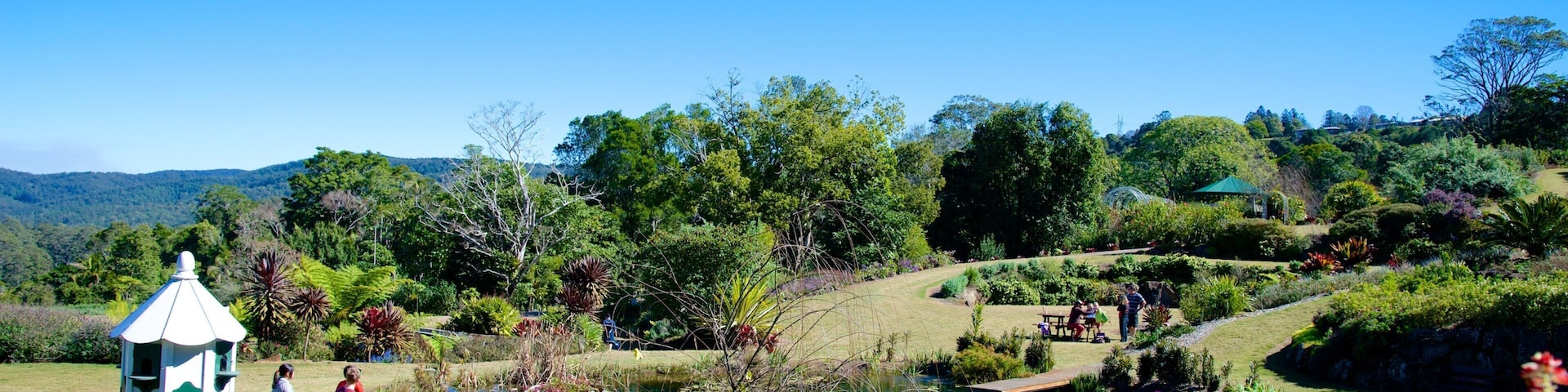 Maleny Botanic Gardens which includes a park and landscape views