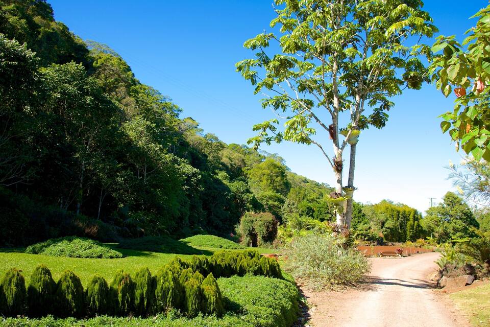 A lush garden with neatly trimmed hedges, a variety of trees, and a dirt path leading through the greenery.