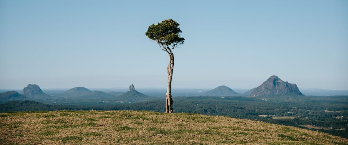 Maleny Botanic Gardens & Bird World showing tranquil scenes and landscape views