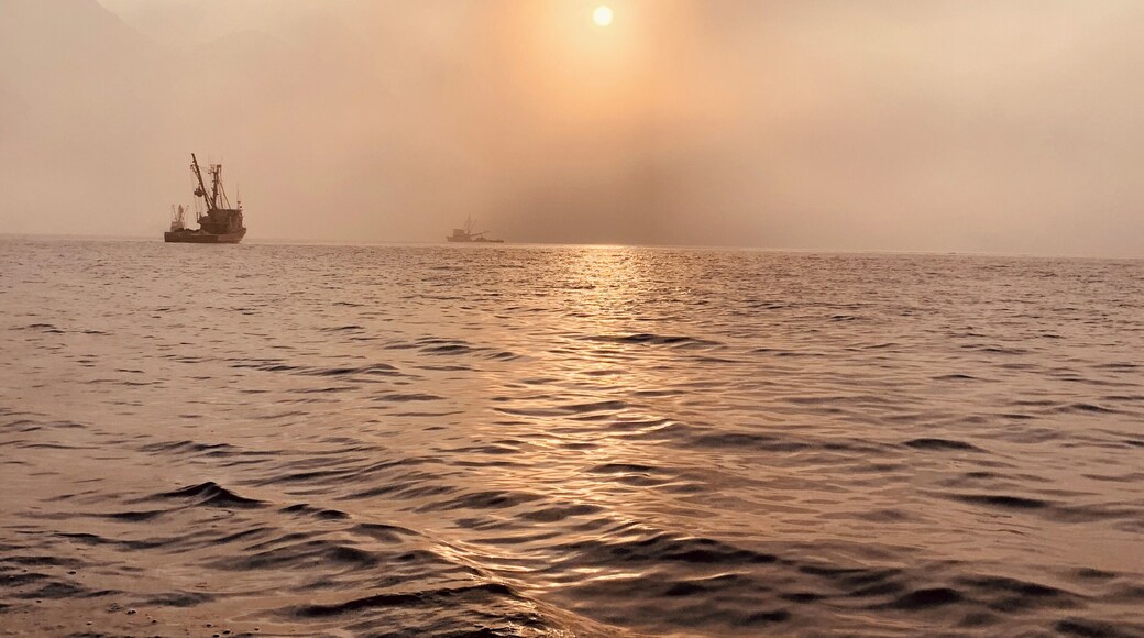 Morning on Prince William Sound with a sunrise over the mountains with fog and smoke. The commercial fishing seiner boat is out for a Coho Salmon opener. #Adventure