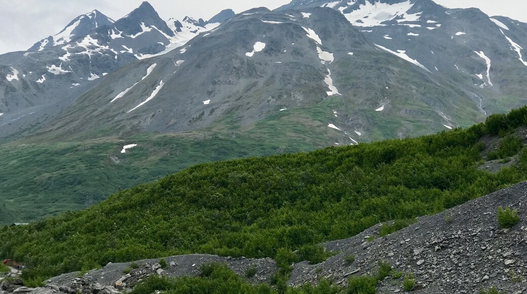 Worthington Glacier a Valdez, AK...