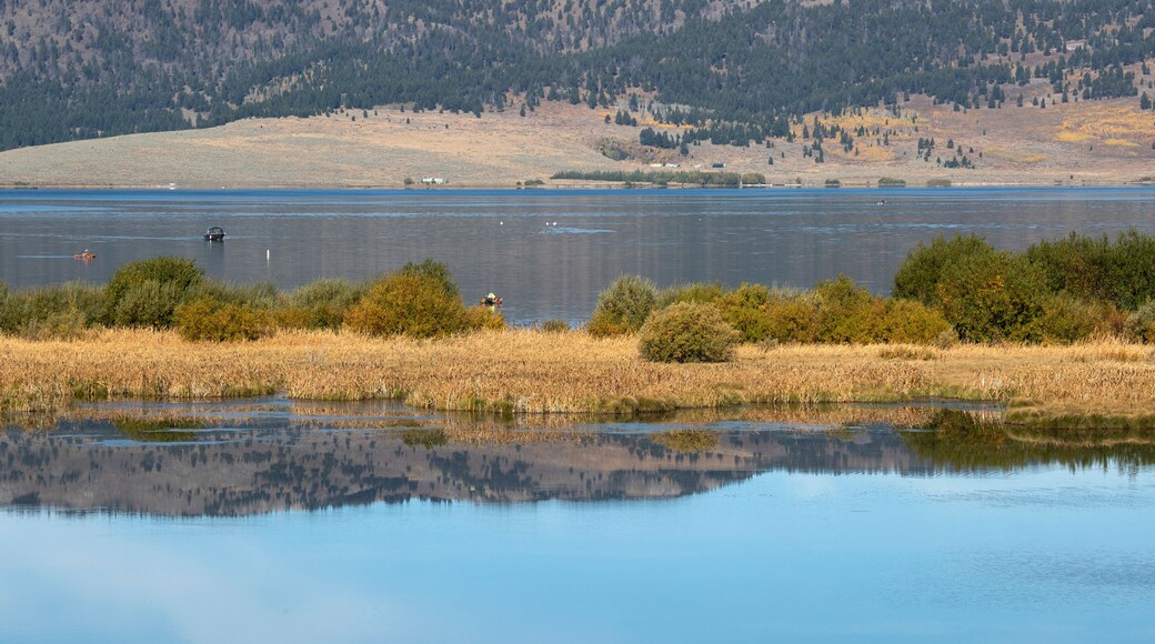Henrys Lake State Park