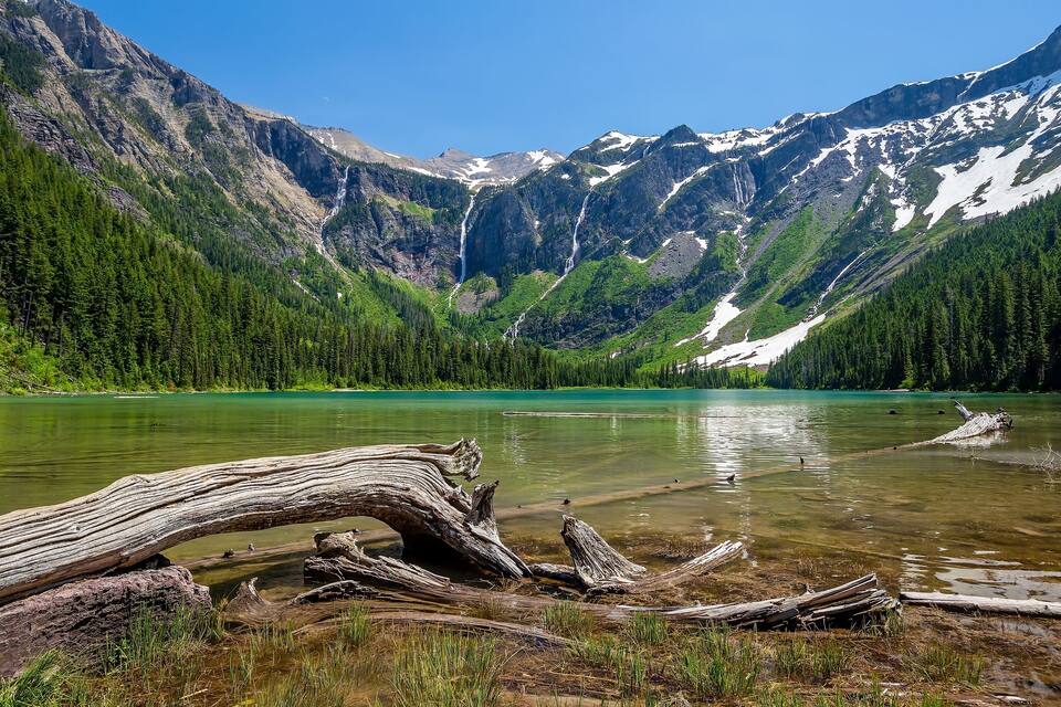A mountain landscape with a clear lake, forested slopes, and a fallen tree in the foreground.