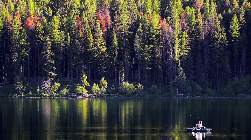 Reflections of Nature *Nature's Portraits Inspiration*
#MyBackyard
#Nature
#Montana
#Salmon Lake State Park
#Tree
#USA
#Landscape
#Reflection
#Bonner
Beautiful reflections scenic view of the pine trees forest, photo captured at Salmon Lake State Park, Bonner Montana while I was on my way to Glacier National Park in year 2011 Montana USA.
Photo Licensed by iLOVEnature's Photography Inspiration l All rights reserved.