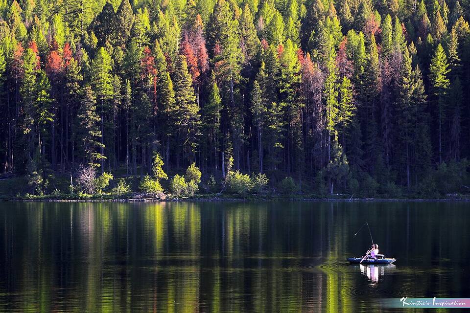 A calm lake surrounded by a dense forest with autumn foliage.
