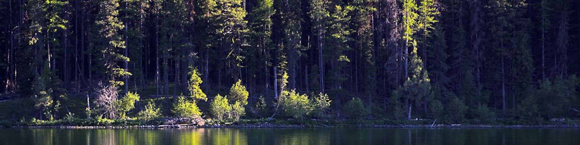Reflections of Nature *Nature's Portraits Inspiration*
#MyBackyard
#Nature
#Montana
#Salmon Lake State Park
#Tree
#USA
#Landscape
#Reflection
#Bonner
Beautiful reflections scenic view of the pine trees forest, photo captured at Salmon Lake State Park, Bonner Montana while I was on my way to Glacier National Park in year 2011 Montana USA.
Photo Licensed by iLOVEnature's Photography Inspiration l All rights reserved.