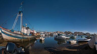 A harbor with various boats, including a large fishing boat, and a cityscape in the background.