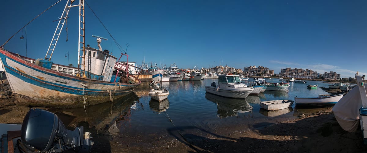 A harbor with various boats, including a large fishing boat, and a cityscape in the background.