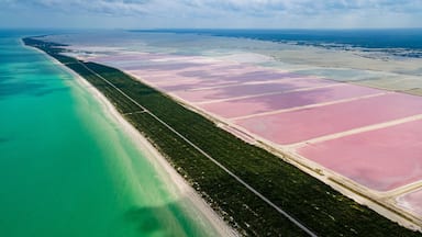Aerial of the colourful salinas of Las Coloradas, Yucatan, Mexico