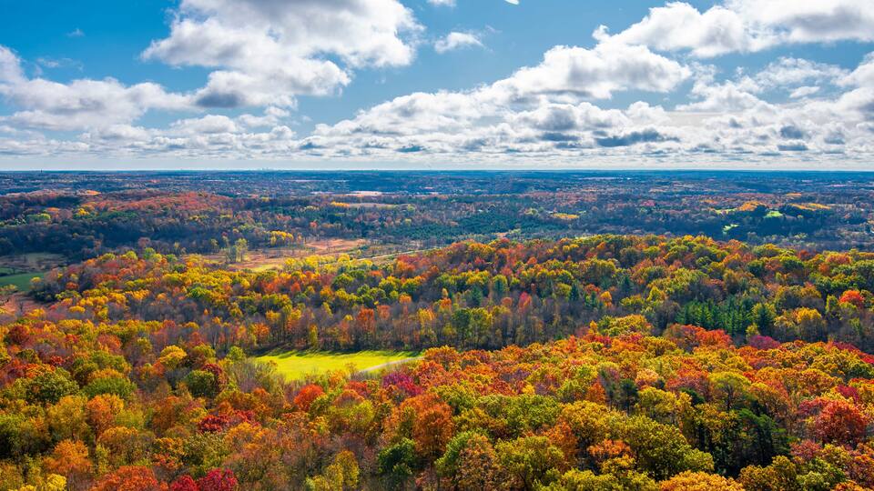 A panoramic view of a forested landscape with autumn foliage.