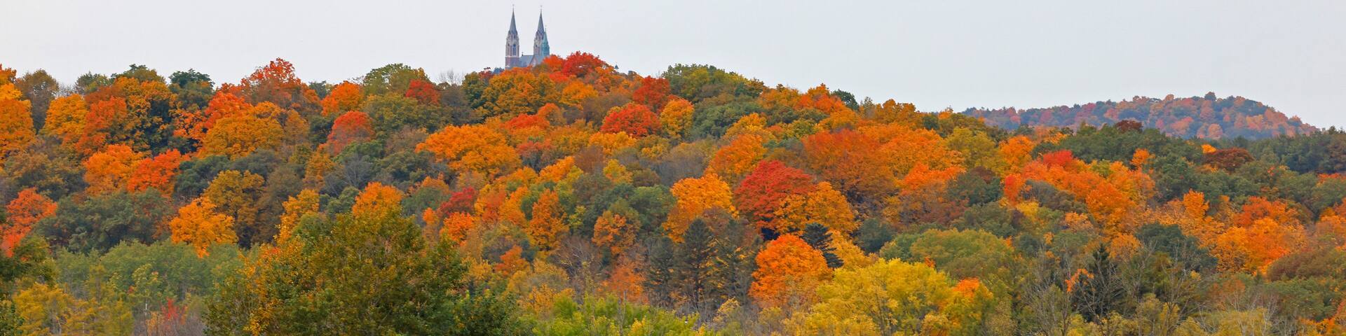 Fall color trees in Wisconsin.
