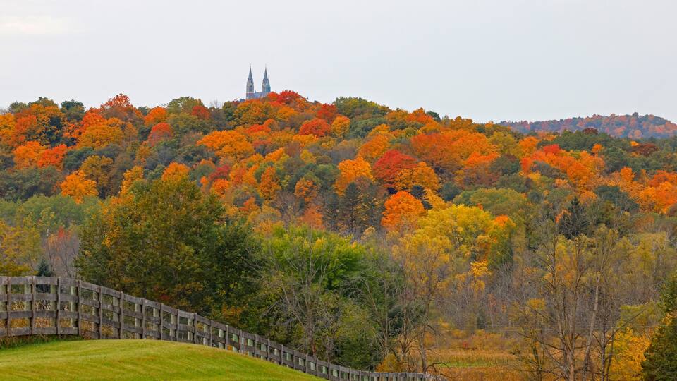 A wooden bridge, autumn foliage, and a church on a hill.