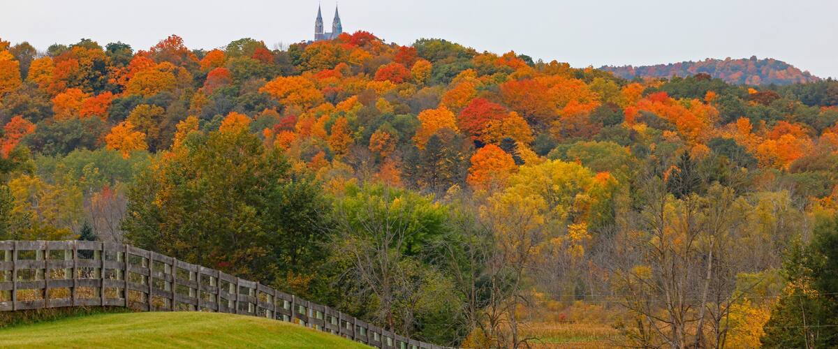 Fall color trees in Wisconsin.
