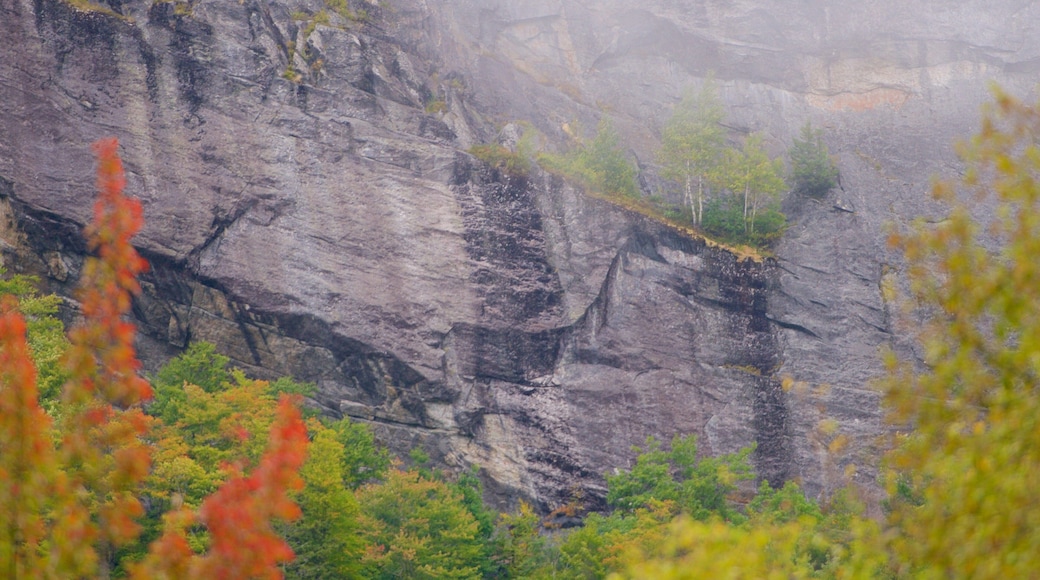 Maine ofreciendo montañas y niebla o neblina