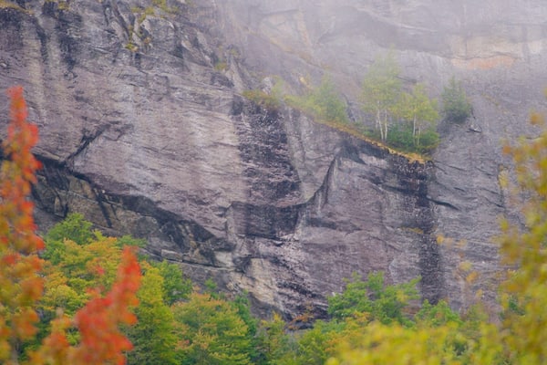Maine showing mountains and mist or fog
