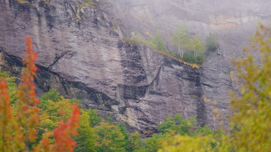 Maine which includes mist or fog and mountains