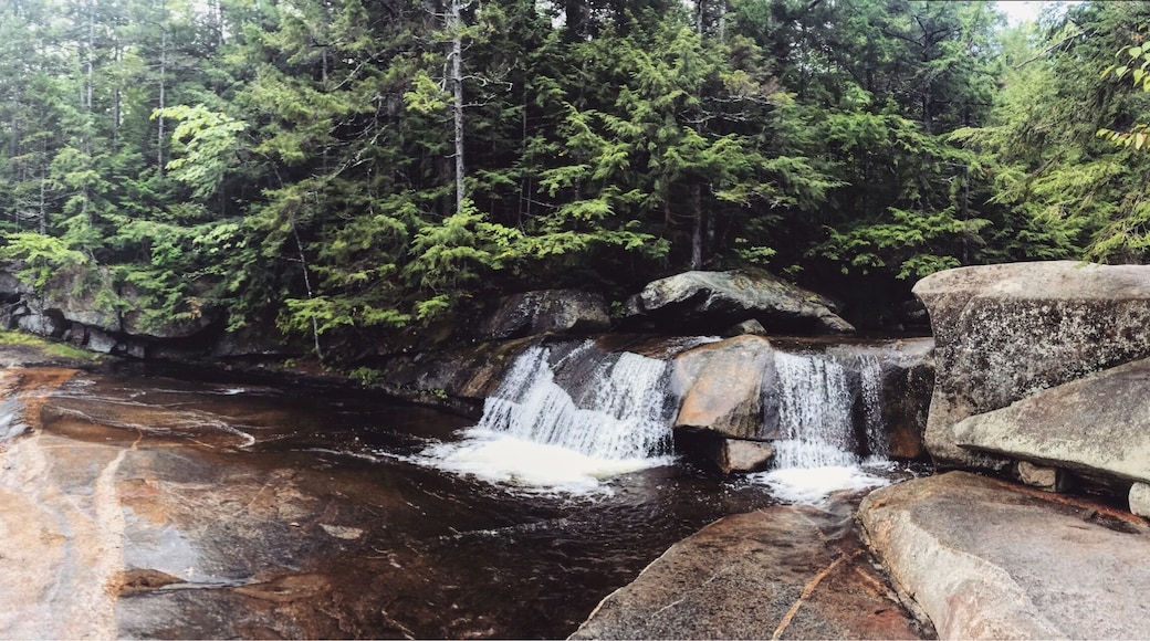 Little spot to picnic + enjoy the Falls. Tempted for a swim!