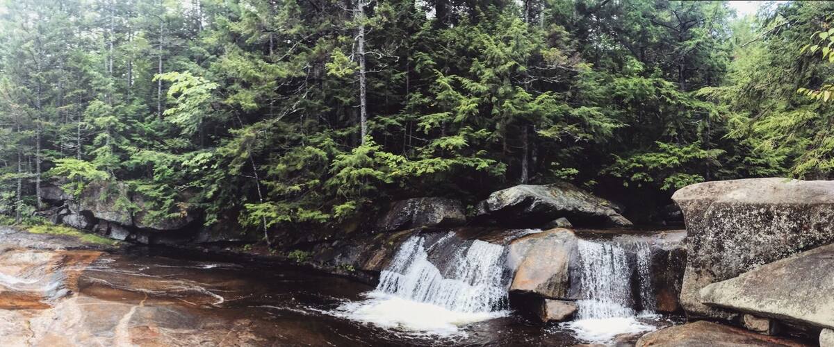 A waterfall in a forested area with large rocks and dense green trees.