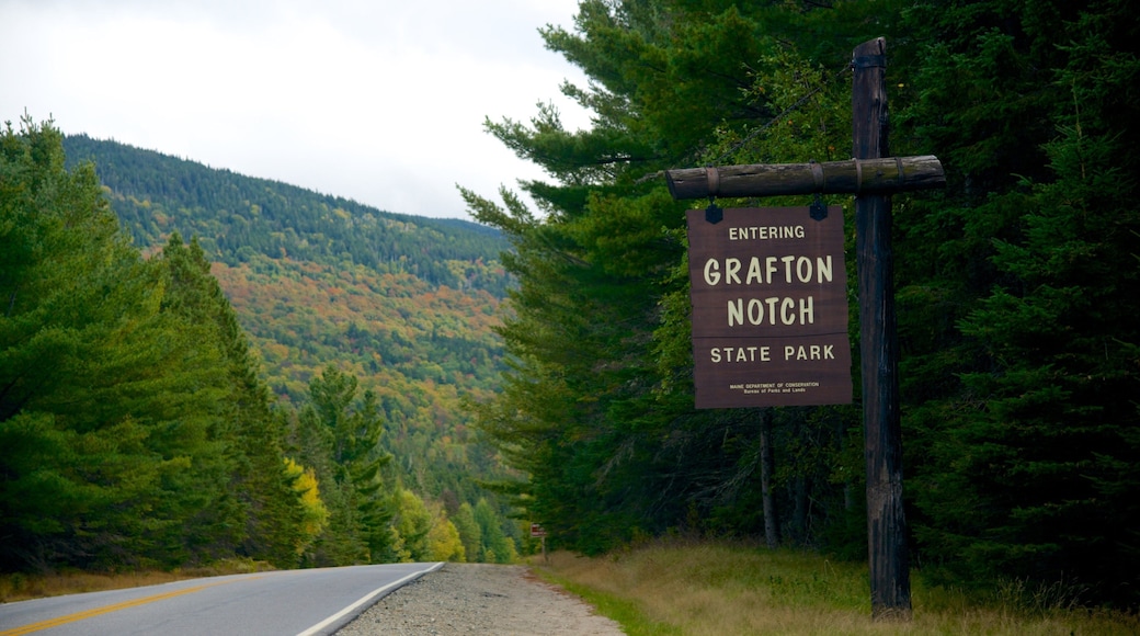 Maine que incluye imágenes de bosques y señalización