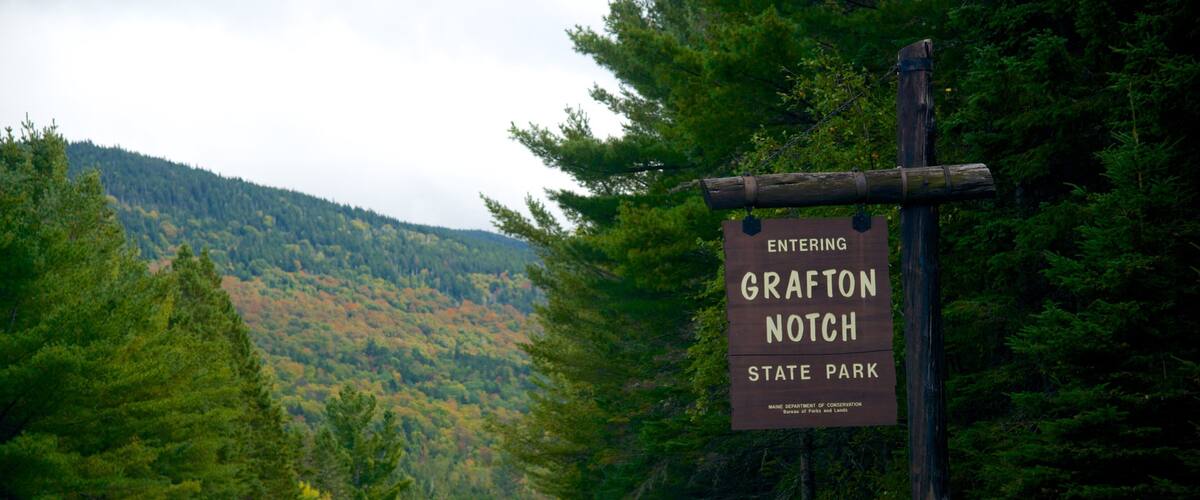 Maine showing signage and forests